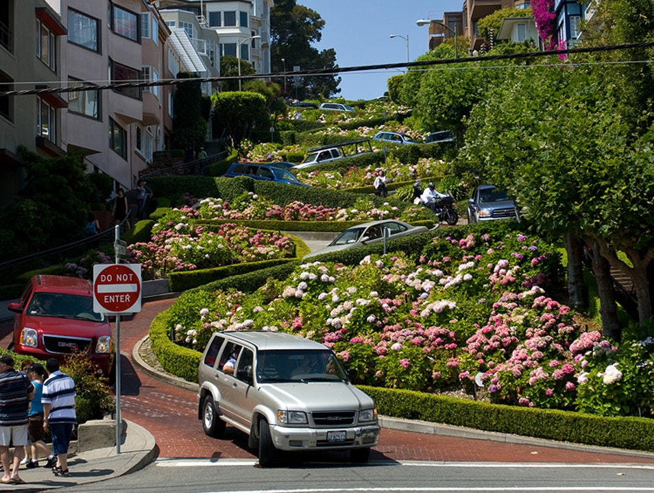 %C4%90%C6%B0%E1%BB%9Dng hoa Lombard