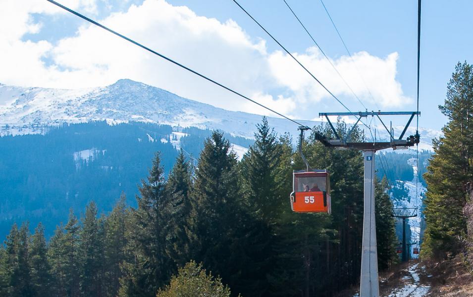 %C4%90i c%C3%A1p tre l%C3%AAn n%C3%BAi Vitosha