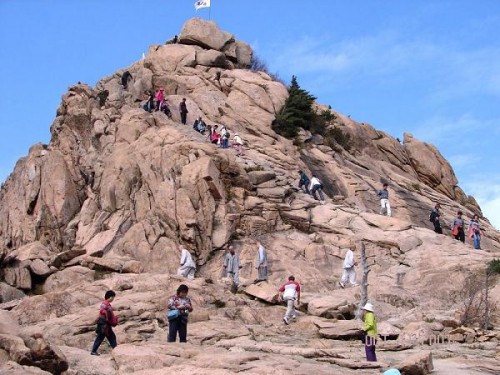 0c33f349169962831bf6c3784ebd40a2