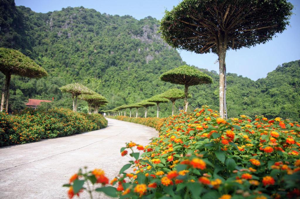 review-thung-nham-resort-4-sao-1