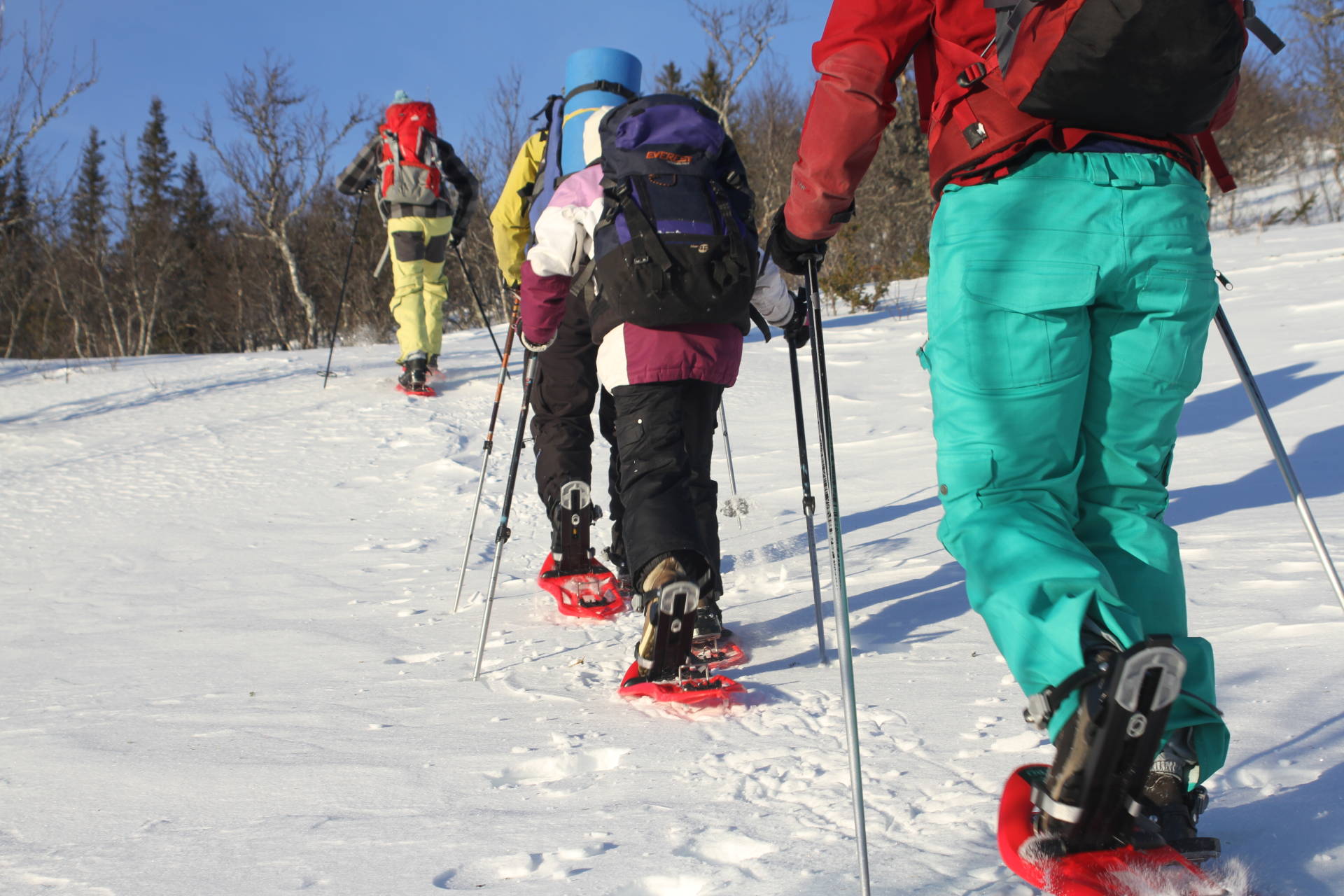 10. Snowshoeing