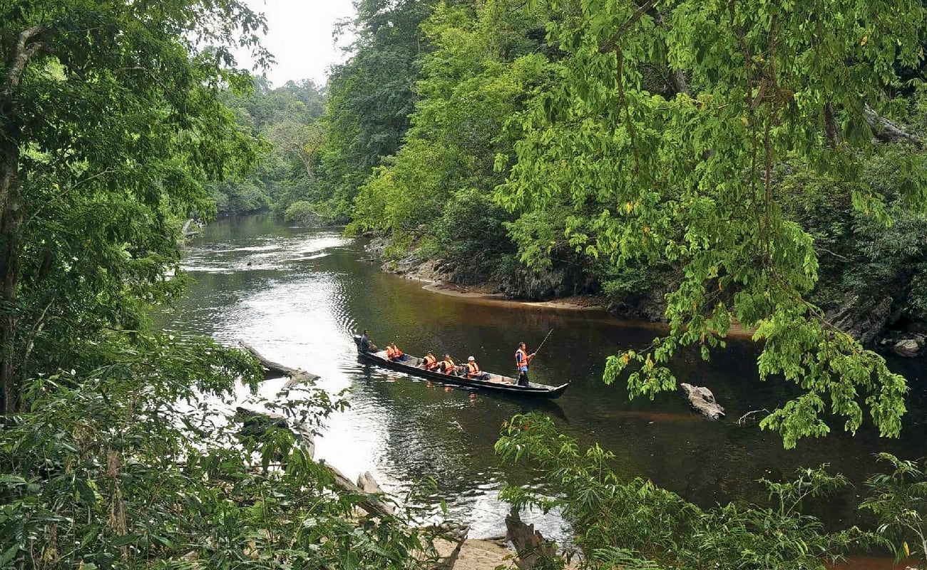 10410295 1408653176088726 1897624398167263563 n.jpg