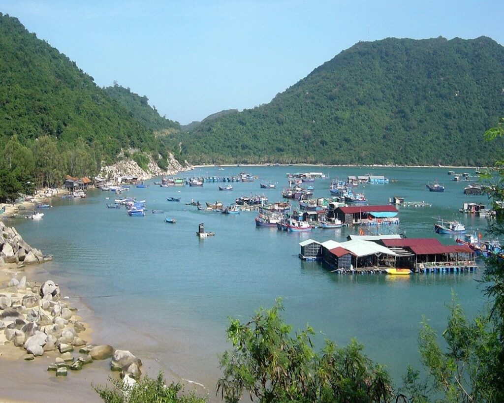 nha-xe-hoa-nho-limousine-sai-gon-di-phu-yen-tuy-hoa-9