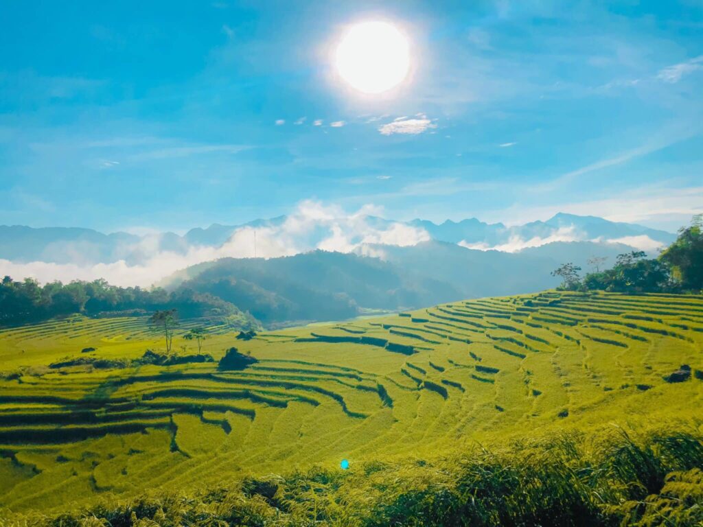 122188302 823227498427069 3920421124196775260 o