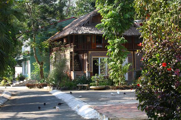 khu-nghi-duong-v-star-resort-2