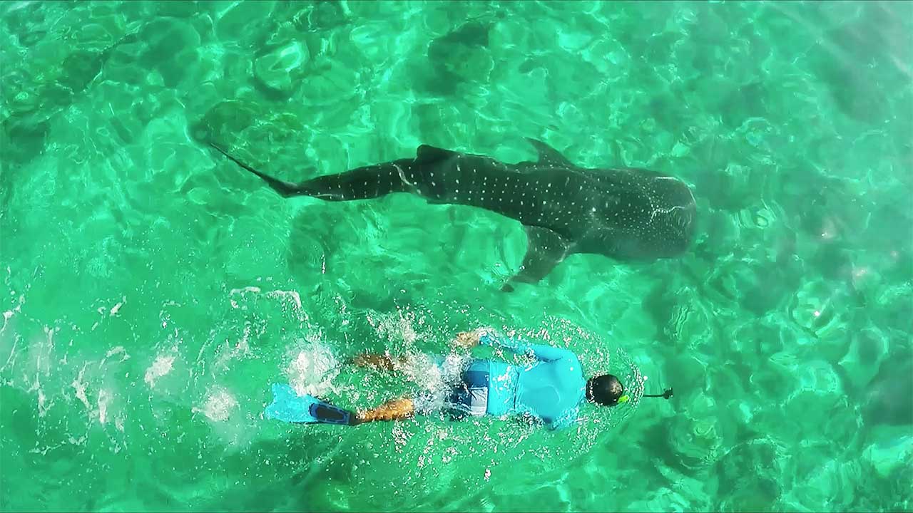 1490546755 Maldives Hotels Resorts