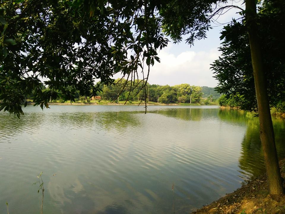 villa-doi-thong-soc-son