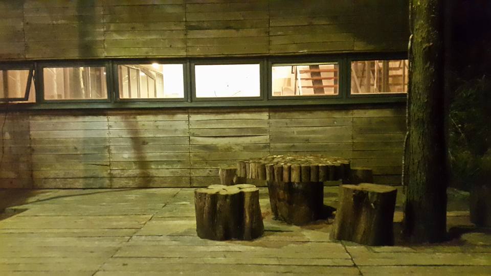 15179001 1775506582703122 5445790973977942580 n