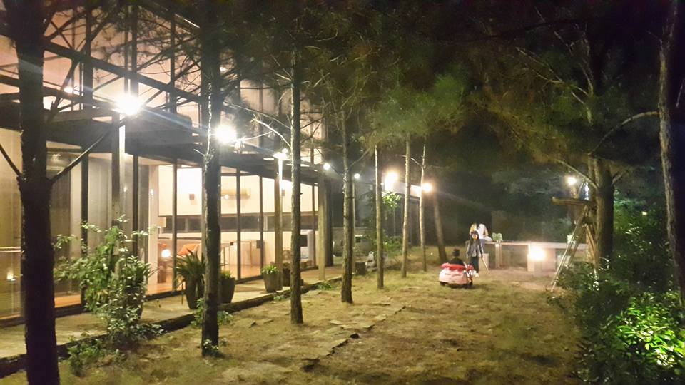 15192587 1775506502703130 9122508407111884563 n