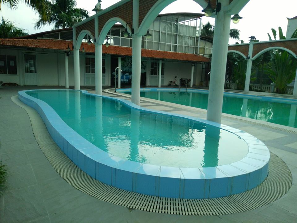 15202555 1772597479660699 3565339653859023490 n