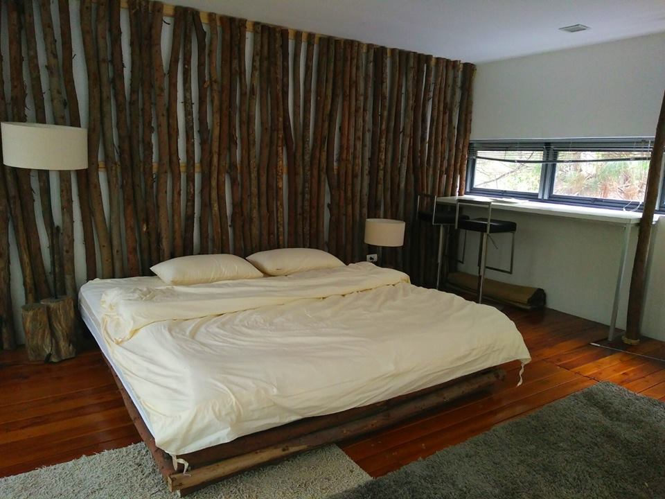 15220188 1772597366327377 3085550702599405958 n