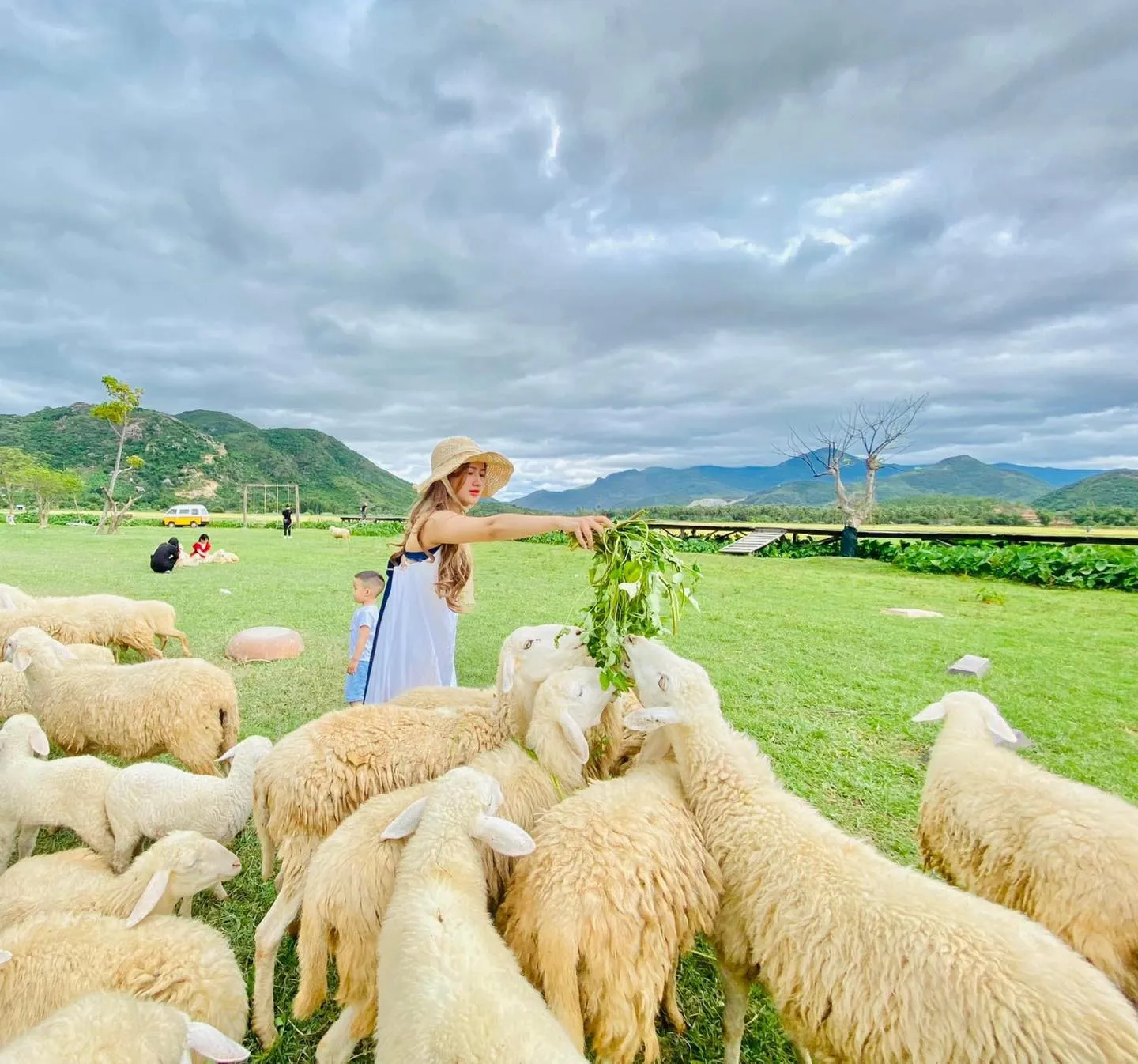 review-resort-o-Ninh-Thuan-kinh-nghiẹm-di-6