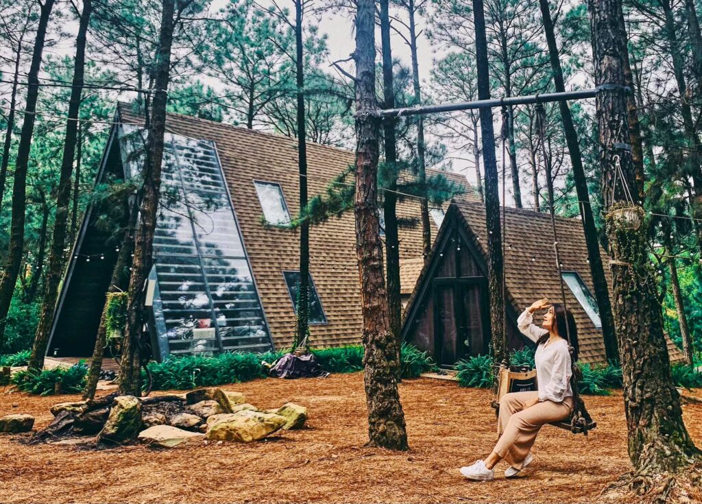 198957856 1193027197806685 4820337480153354644 n