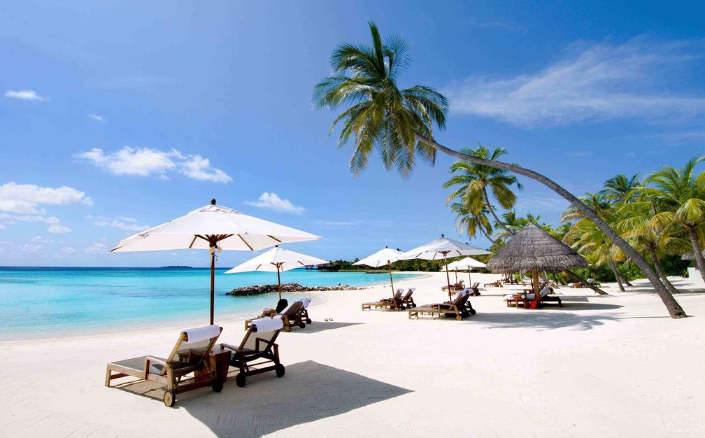 to-chuc-hoi-thao-sheraton-grand-da-nang