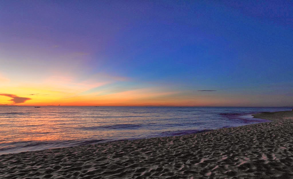 2. Bi%E1%BB%83n Nh%E1%BA%ADt L%E1%BB%87