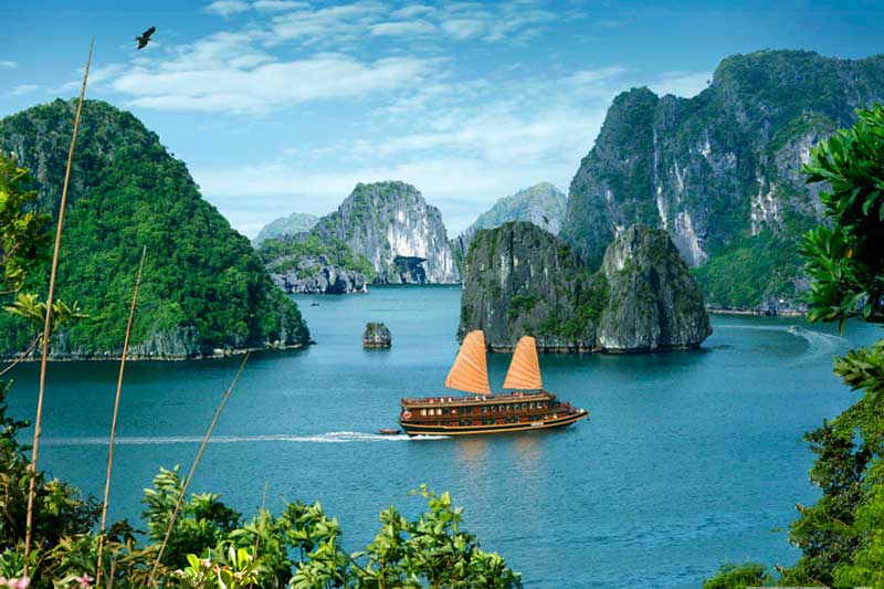 nha-xe-tu-ha-noi-di-quang-ninh-tot-nhat-8