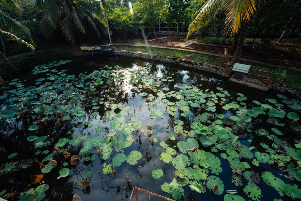 doi-su-villa-quan9-sai-gon-review-1