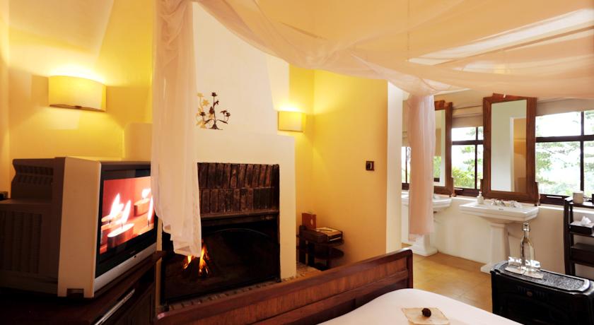 25107364