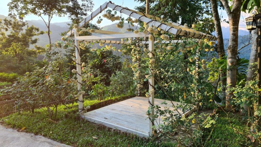 277798943 496853365422840 3393747399830844598 n