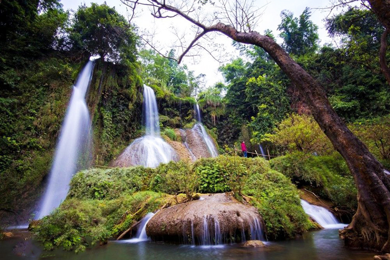 3. Th%C3%A1c D%E1%BA%A3i Y%E1%BA%BFm