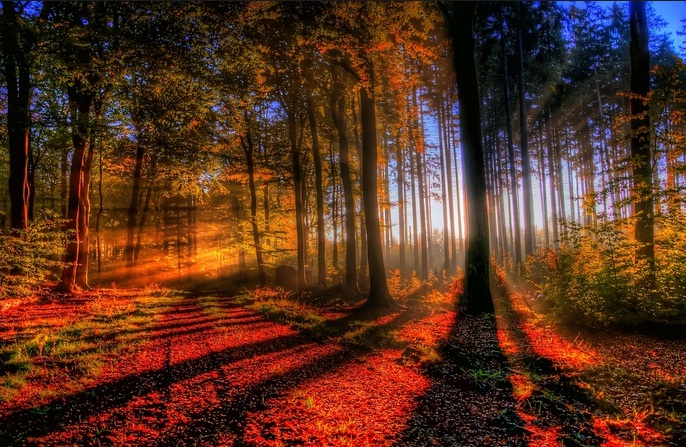 4. R%E1%BB%ABng %C4%90en