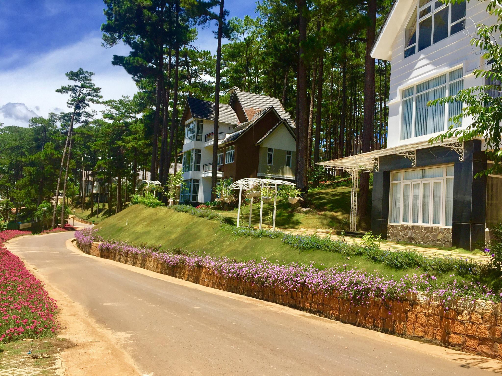 44830409 1819526124832272 2904101205875621888 n