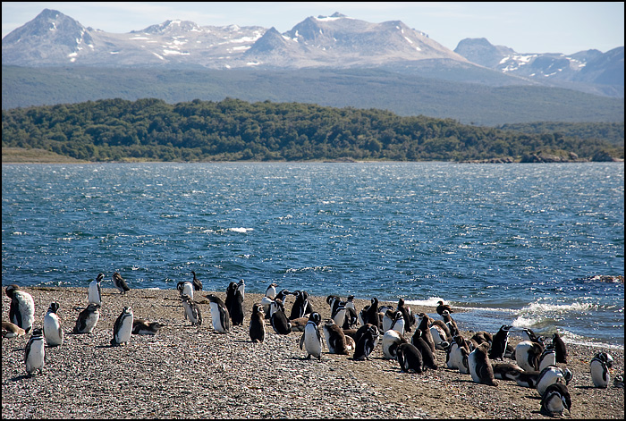 5. Eo bi%E1%BB%83n Beagle Channel