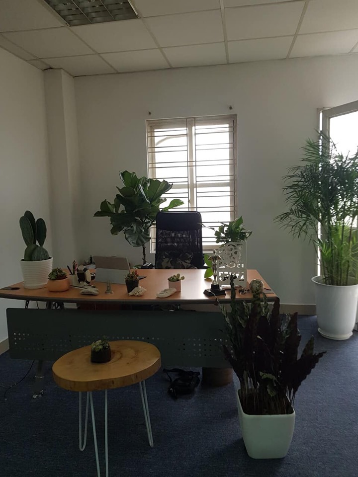 review-fusion-cam-ranh-nha-trang