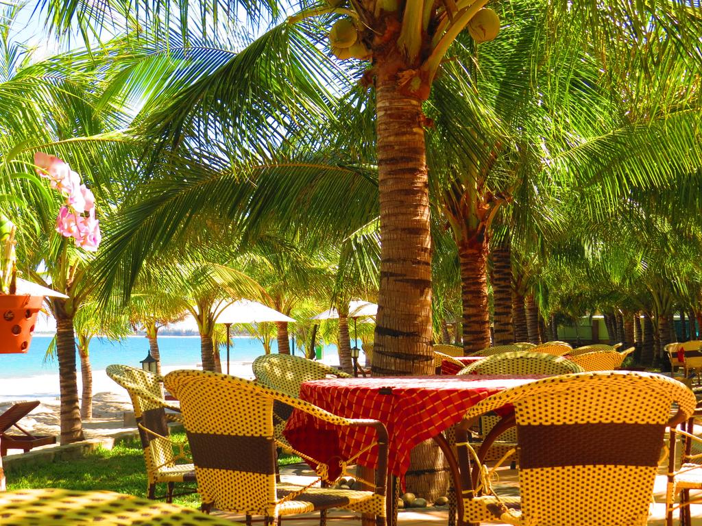 Kinh-nghiem-di-du-lich-phan-rang-ninh-thuan-35