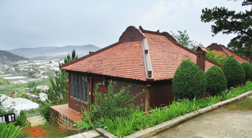52008533