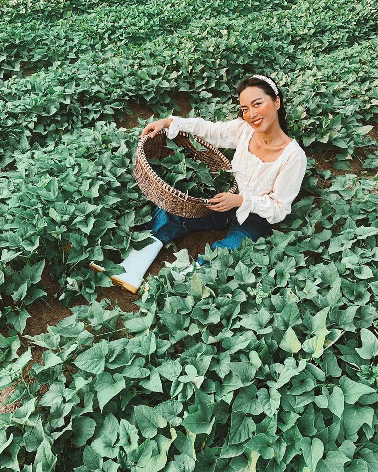 55698469 148341836194451 8406883678549966848 n