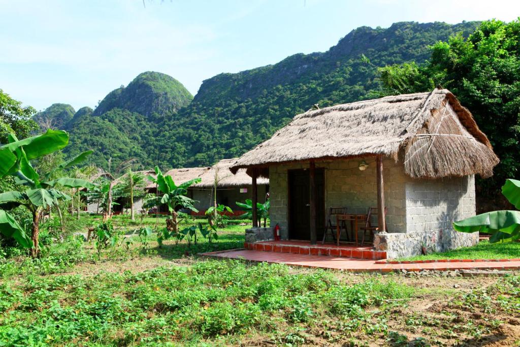 top-nhung-resort-o-cat-ba-hai-phong-dep-nhat-15