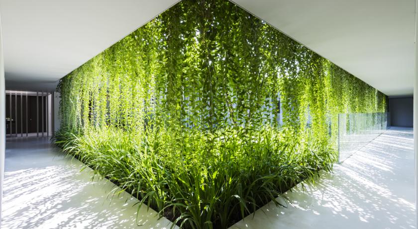 review-naman-retreat-da-nang-7