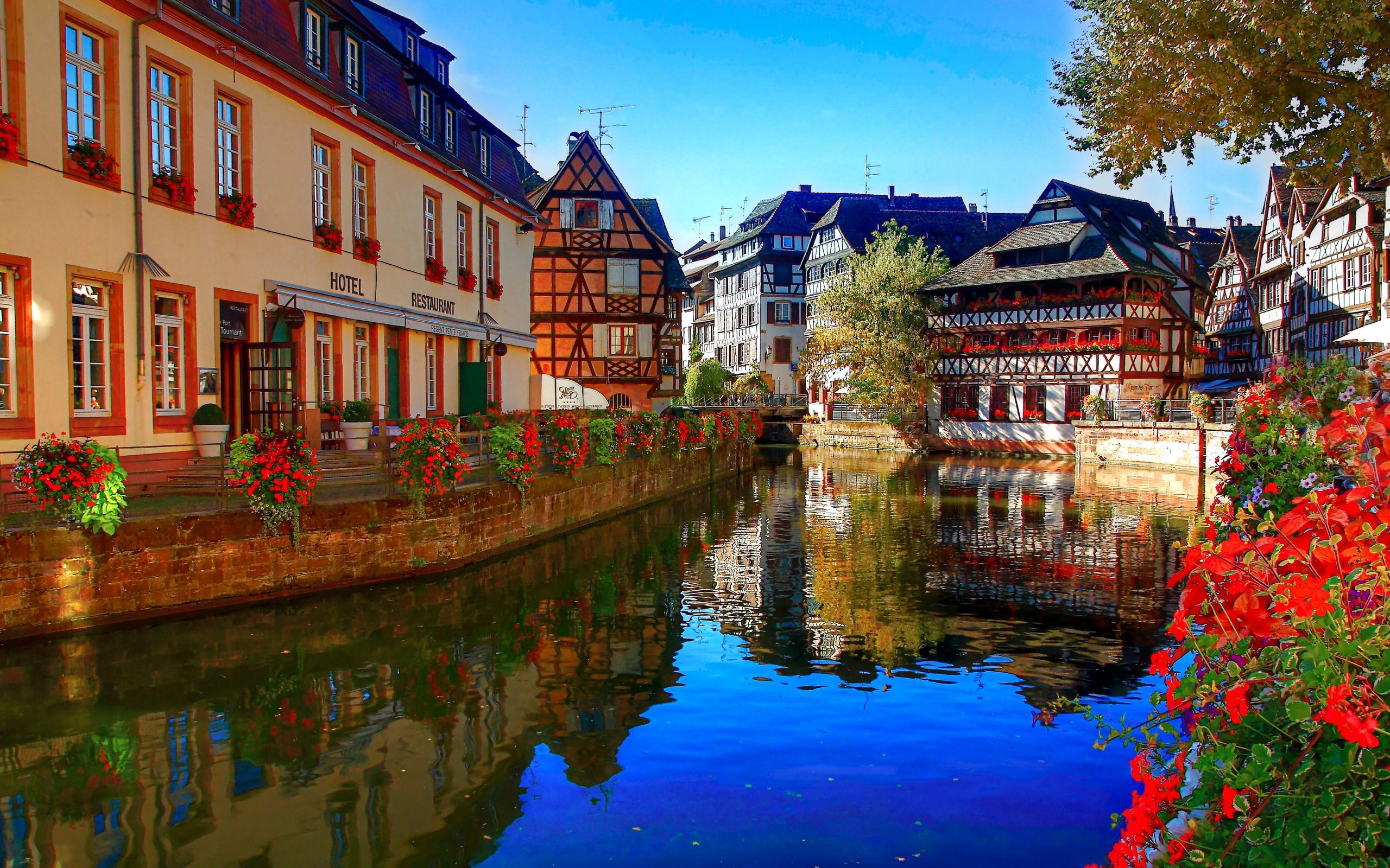 6. Strasbourg