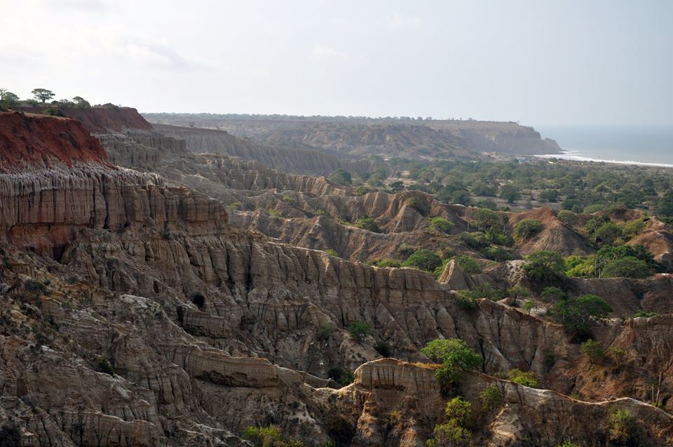 65d70fb41cb7cf7d635a739187aaf92c