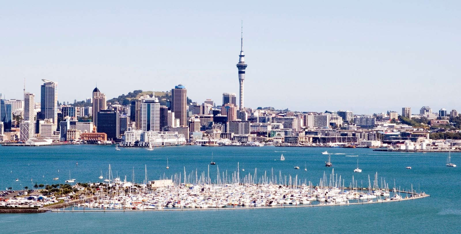 AUCKLAND1