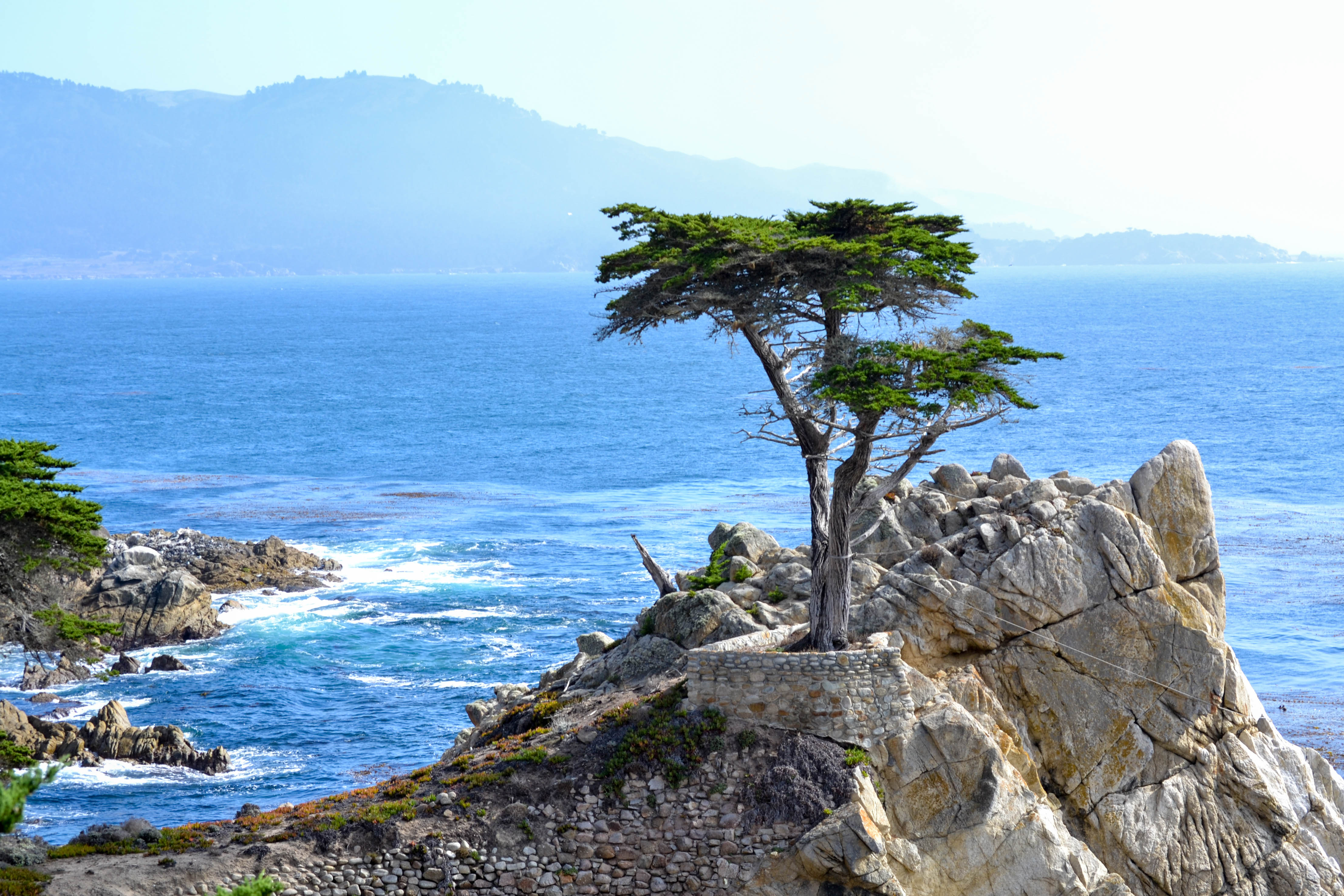 C%C3%A2y b%C3%A1ch %C4%91%C6%A1n %C4%91%E1%BB%99c The Lone Cypress