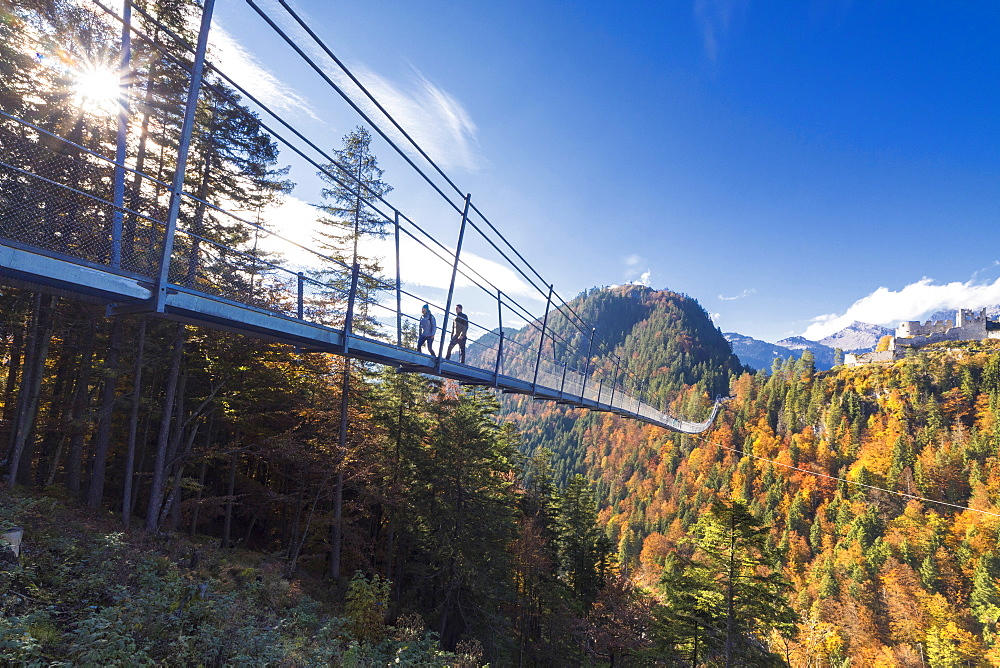 C%C3%A2y c%E1%BA%A7u treo Capilano Suspension Bridge