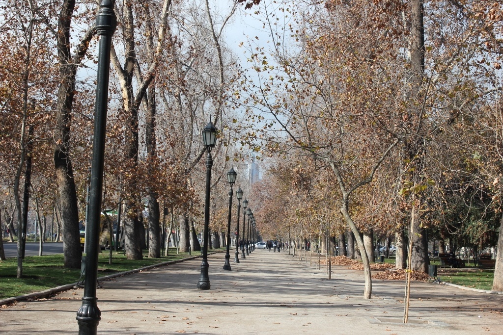 C%C3%B4ng vi%C3%AAn Forestal Park