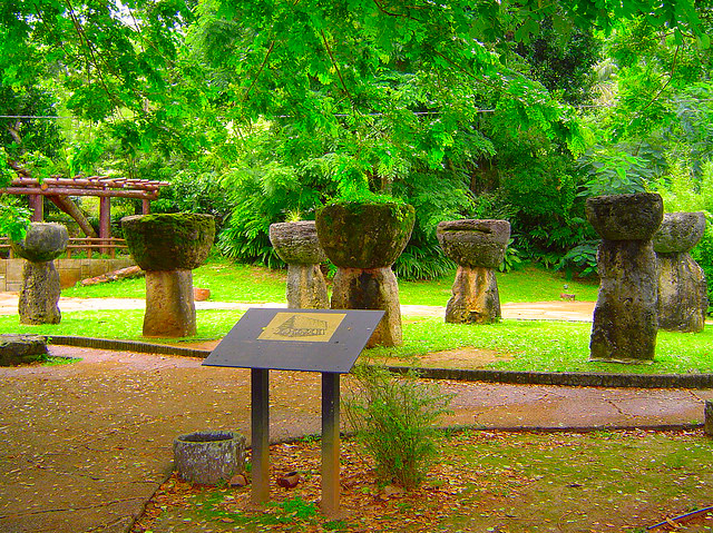 C%C3%B4ng vi%C3%AAn Latte Stone