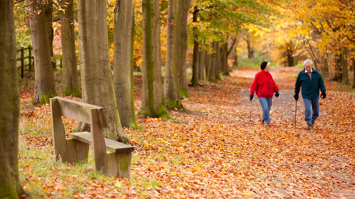 C%C3%B4ng vi%C3%AAn ng%E1%BB%8Dn %C4%91%E1%BB%93i Beacon Hill