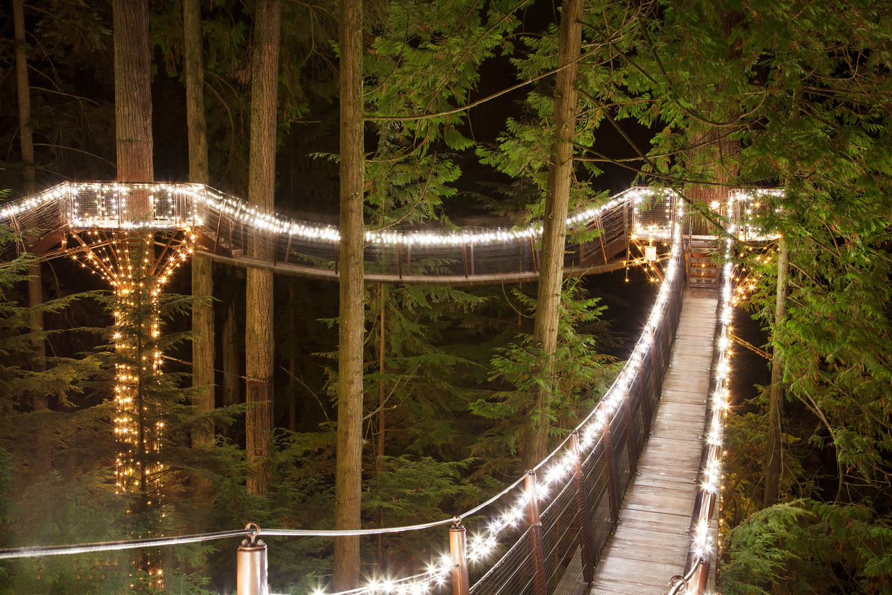 Capilano Suspension Bridge