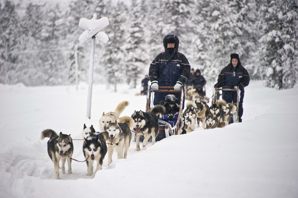 Ch%C6%B0%C6%A1ng tr%C3%ACnh Husky Safari %E2%80%93 Kh%C3%A1m ph%C3%A1 v%C3%B9ng hoang d%C3%A3 c%E1%BB%A7a Ph%E1%BA%A7n Lan