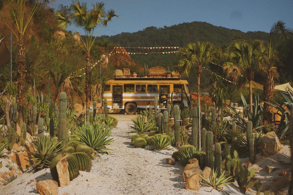 gia-ve-limousine-nha-trang-da-lat