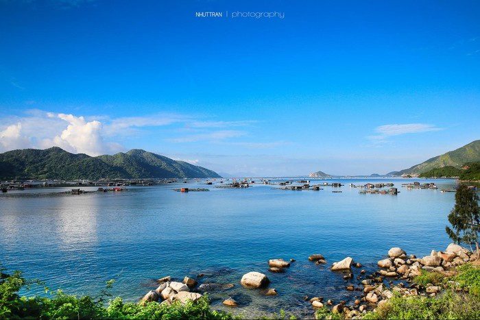 nha-xe-hoa-nho-limousine-sai-gon-di-phu-yen-tuy-hoa-8