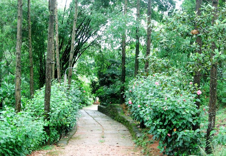 goi-nghi-duong-2n1d-tai-vit-co-xanh-resort_20121024152911679