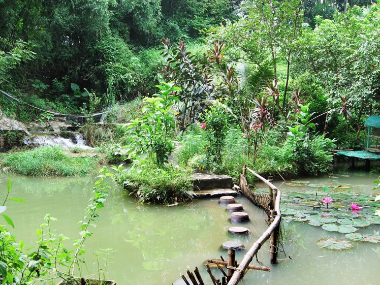 goi-nghi-duong-2n1d-tai-vit-co-xanh-resort_20121024152919198