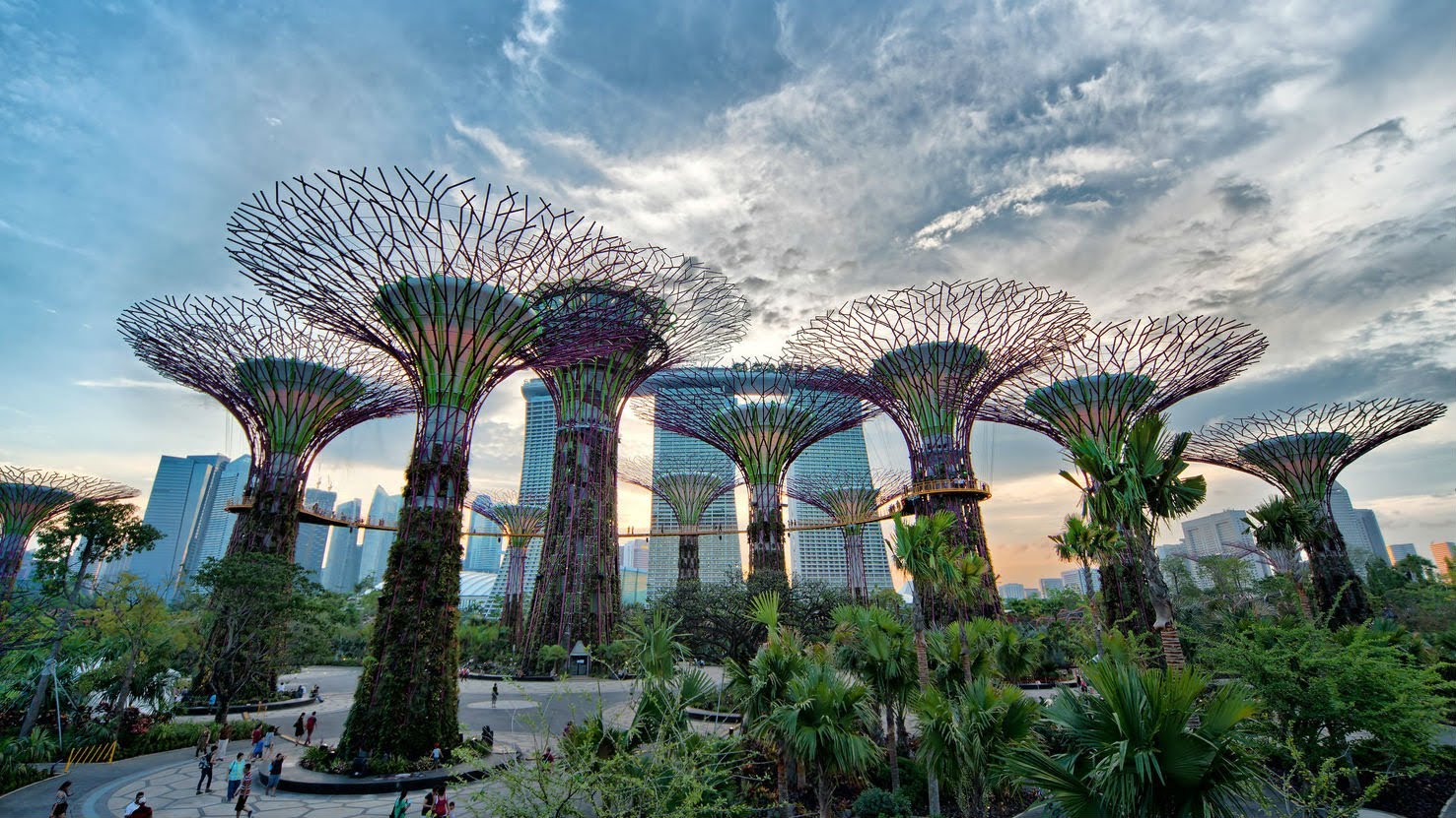 Gardens by the Bay1