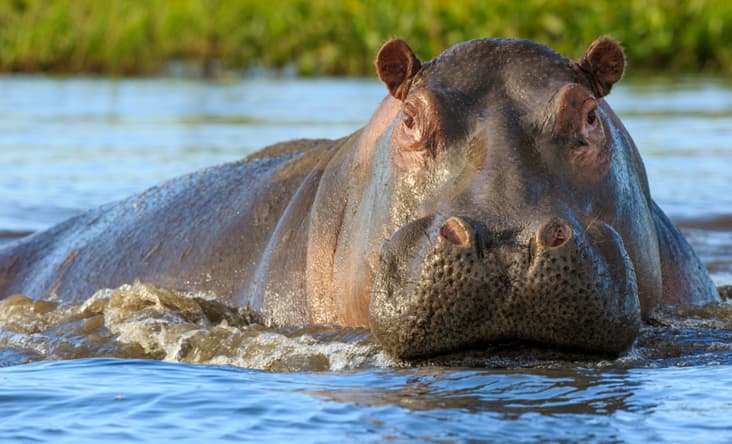 ha-ma-vinpearl-nha-trang