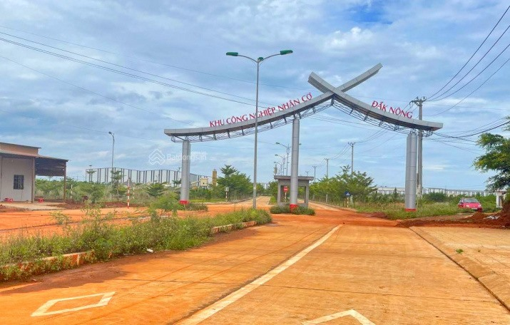 KCN-nhan-co